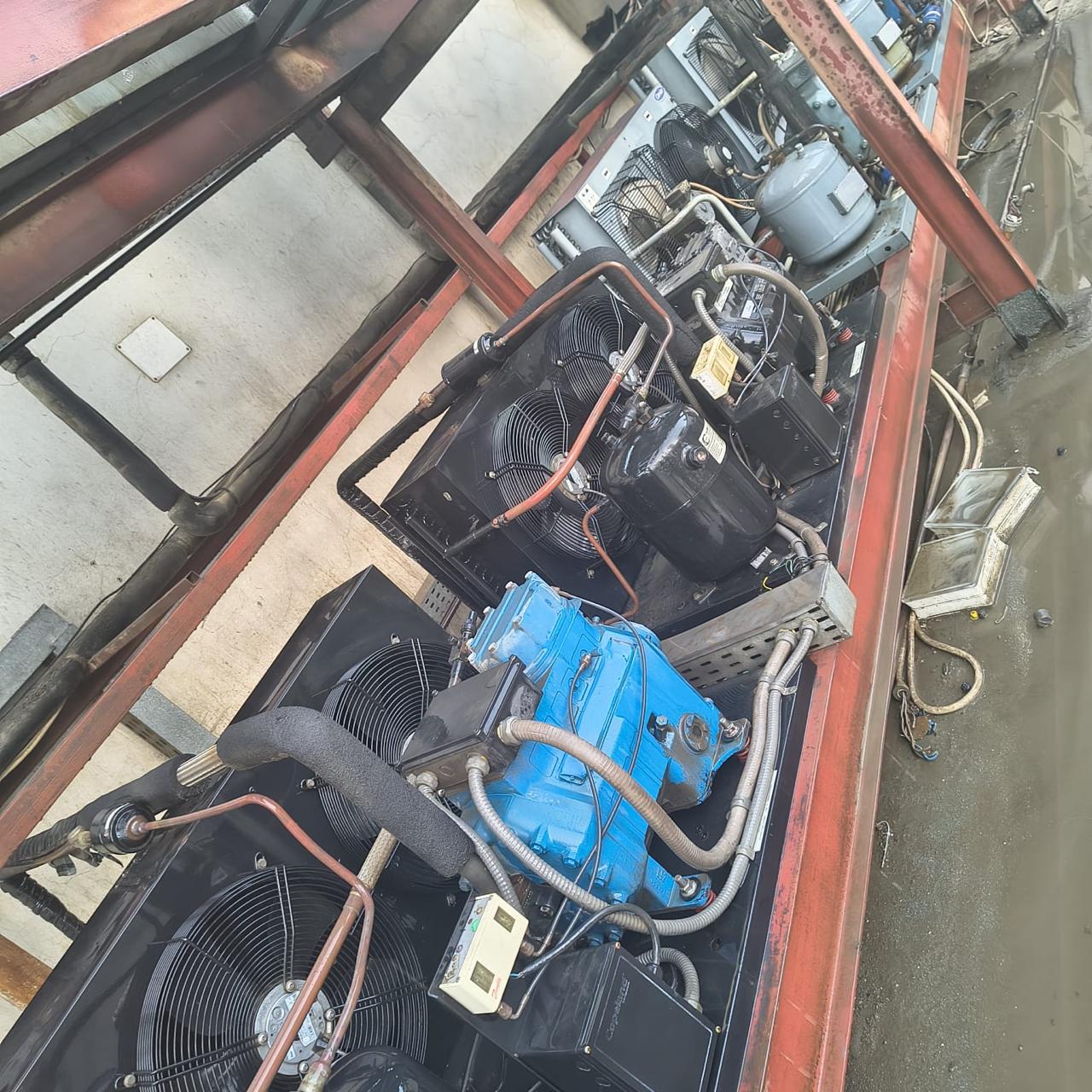 Row of air-cooled refrigeration condensing units mounted on a rooftop steel frame