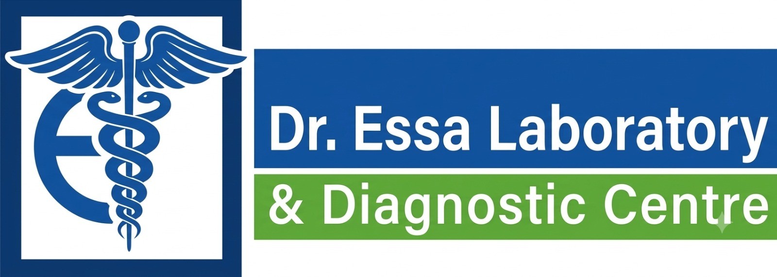 Dr. Essa Laboratory